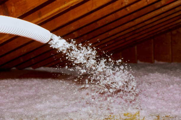 Best Specialized Insulation Services in Moorefield, WV