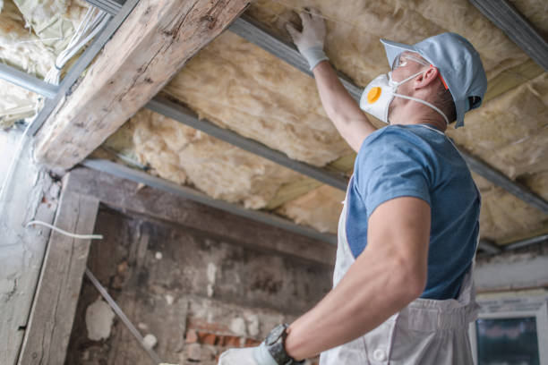 Best Geographic-Specific Insulation Services in Moorefield, WV