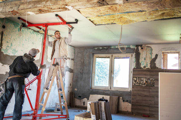 Best Cellulose Insulation in Moorefield, WV