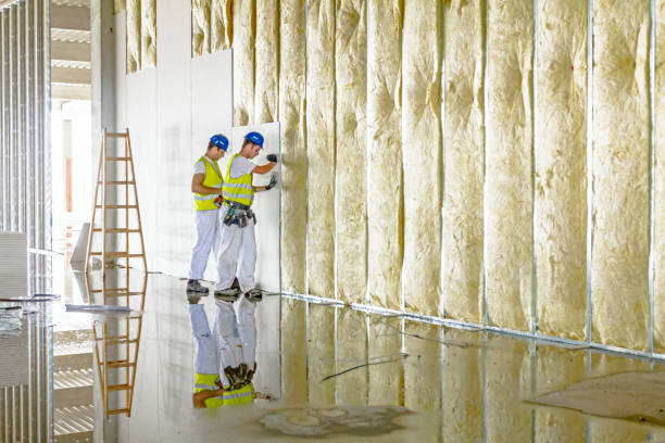 Best Commercial Insulation in Moorefield, WV
